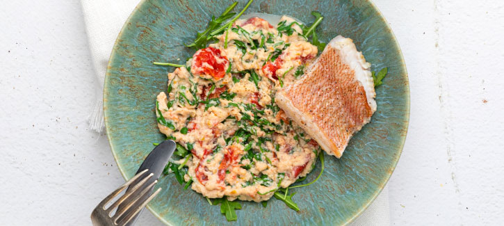 Kartoffelpüree mit Tomaten und Rotbarschfilet