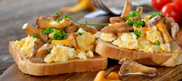 Toast mit Rührei und Pfifferlingen