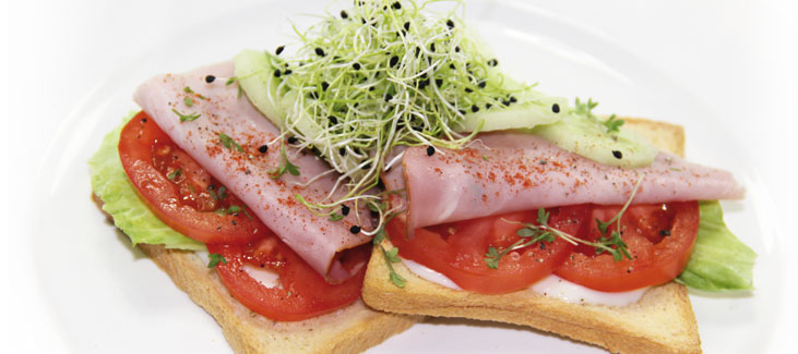 Gesunder Toast